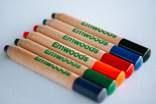 6 Multicoloured Whiteboard Pencils